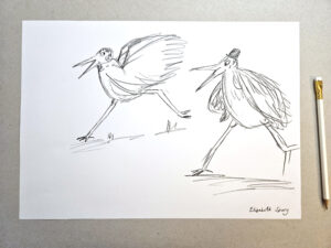 Stork